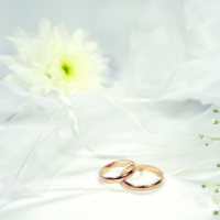 結婚指輪と婚約指輪で選ばれている人気ブランドについて